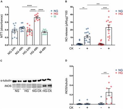 Redox and Calcium Alterations of a Müller Cell Line Exposed to Diabetic Retinopathy-Like Environment